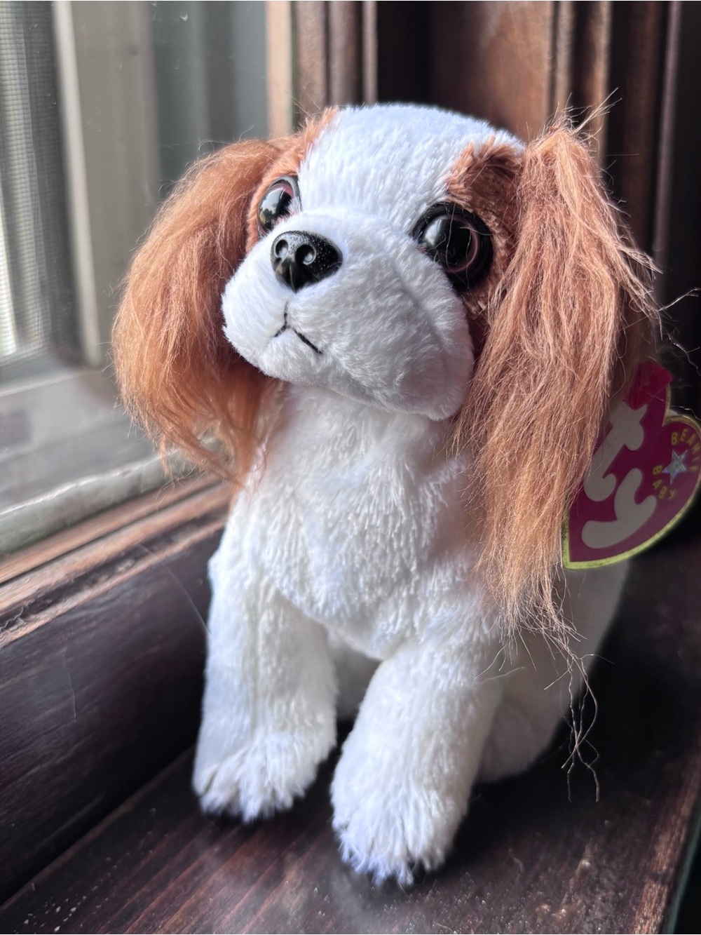 TY Beanie Baby “Regal” White and Brown Plush Dog Stuffed Animal - Soft Puppy Toy
